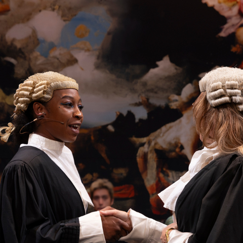 Dominique in The Trials and Passions of Unfamous Women, dressed as a barrister